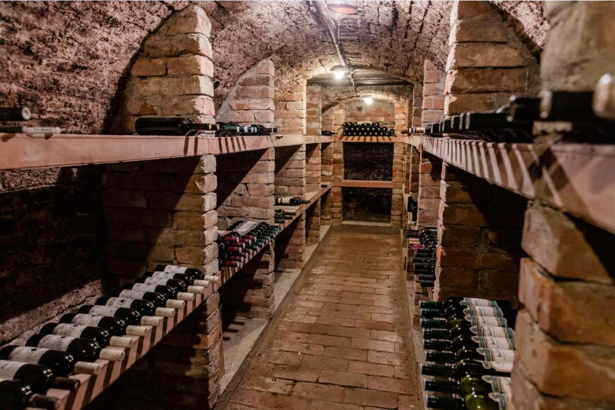 Apartman Cabernet Velké Pavlovice 외부 사진