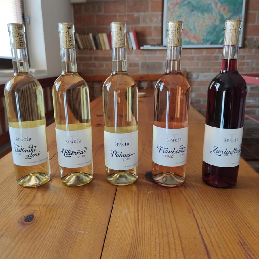 Apartman Cabernet Velké Pavlovice 외부 사진