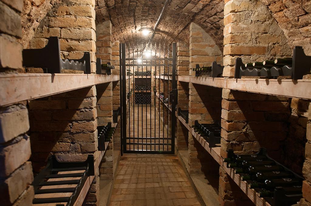 Apartman Cabernet Velké Pavlovice 객실 사진